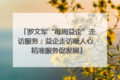 罗文军“每周益企”走访服务：益企走访暖人心 精准服务促发展